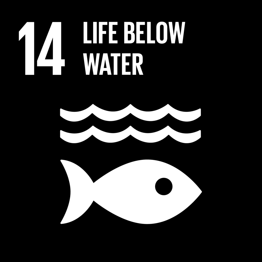 FN´s substainable development goals number 14 "life below water".